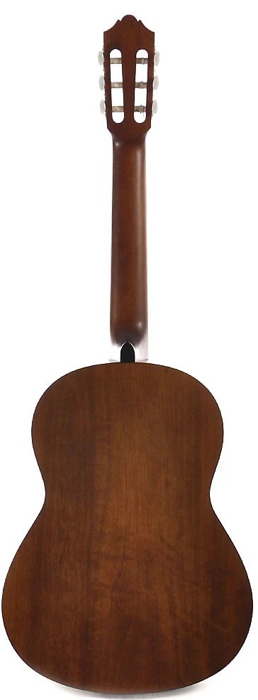 Unistar Acoustic Guitar Beginner