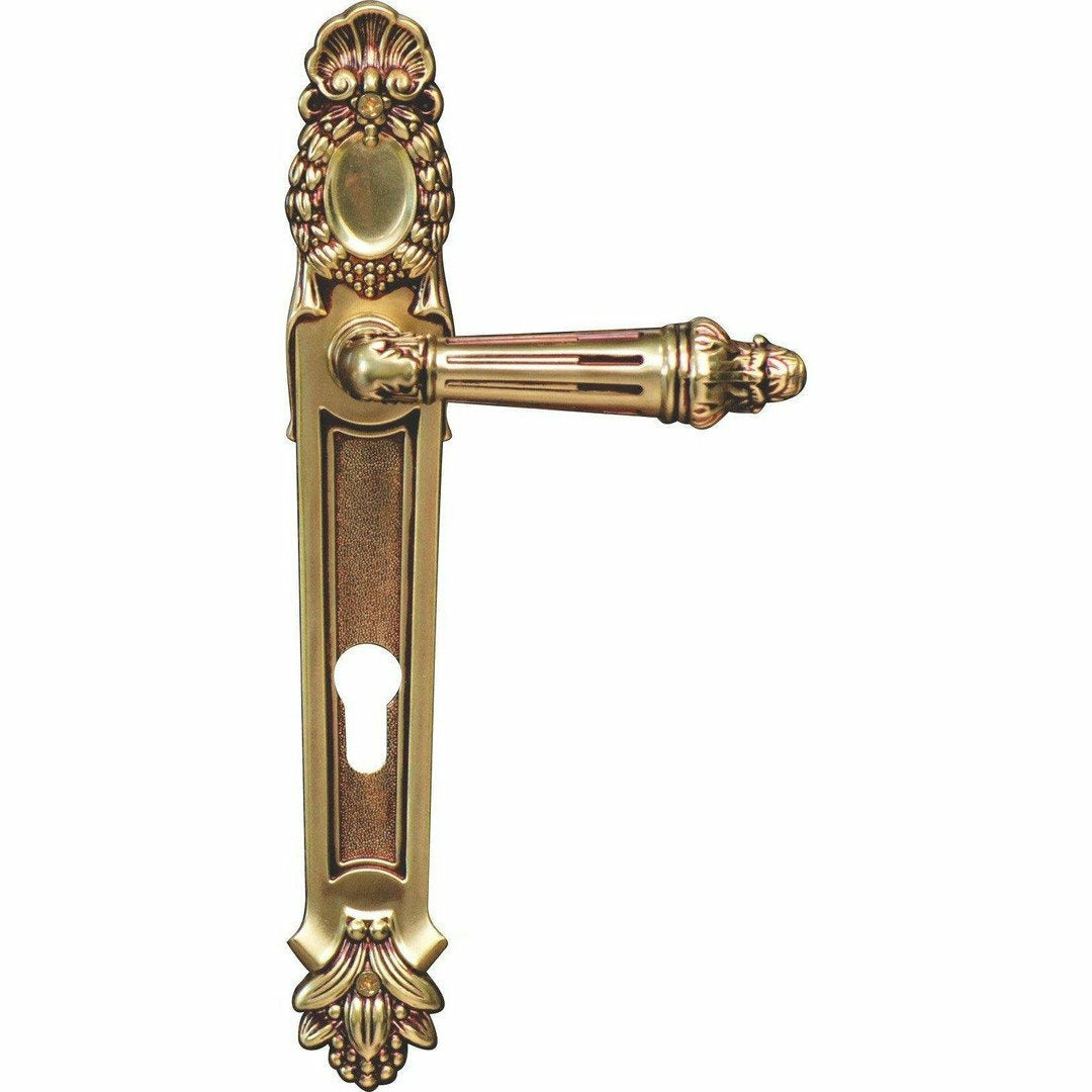 "Cape" Royal - Antique Door Handle on Back Plate