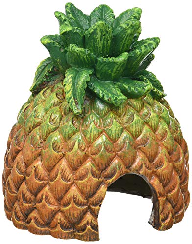 Exo Terra Cachette Ananas Tiki