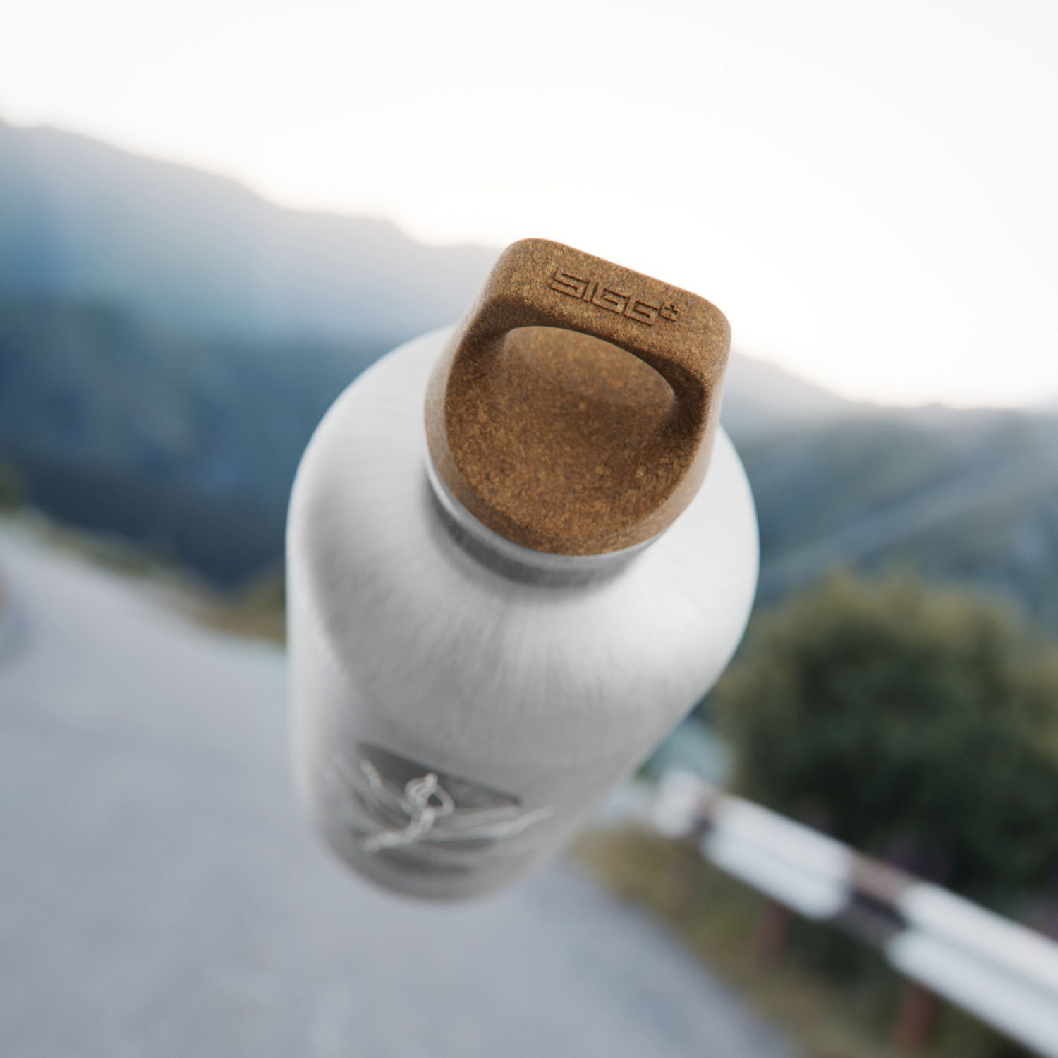 Gourde Sigg Traveller Myplanet Path 0,6l