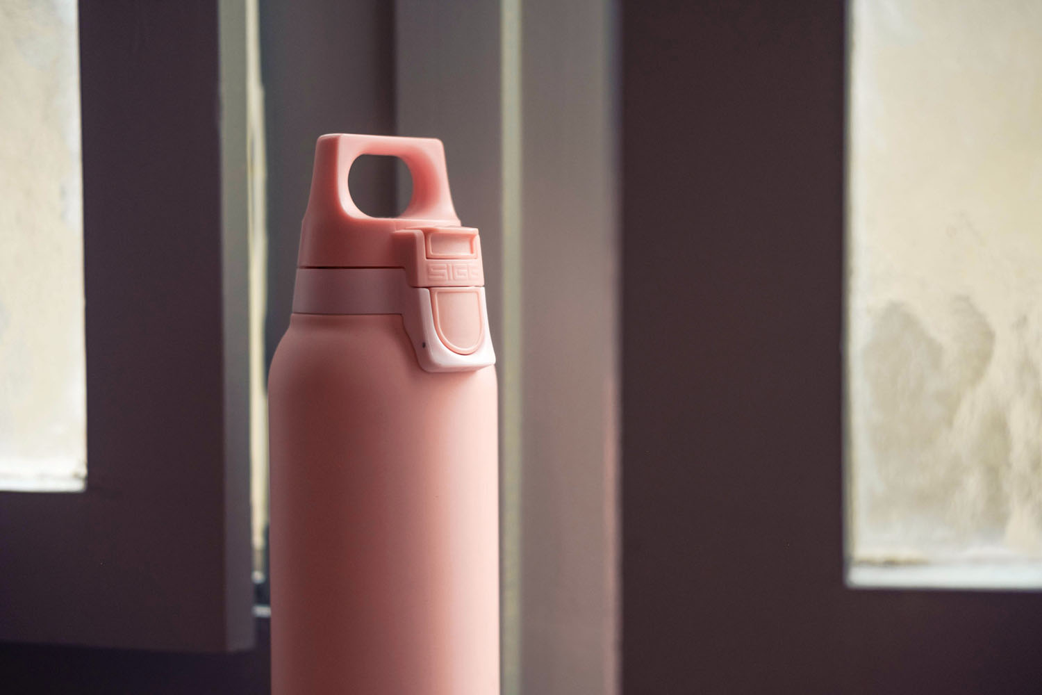 Gourde Sigg H&c One Light Shy Pink 0.55l